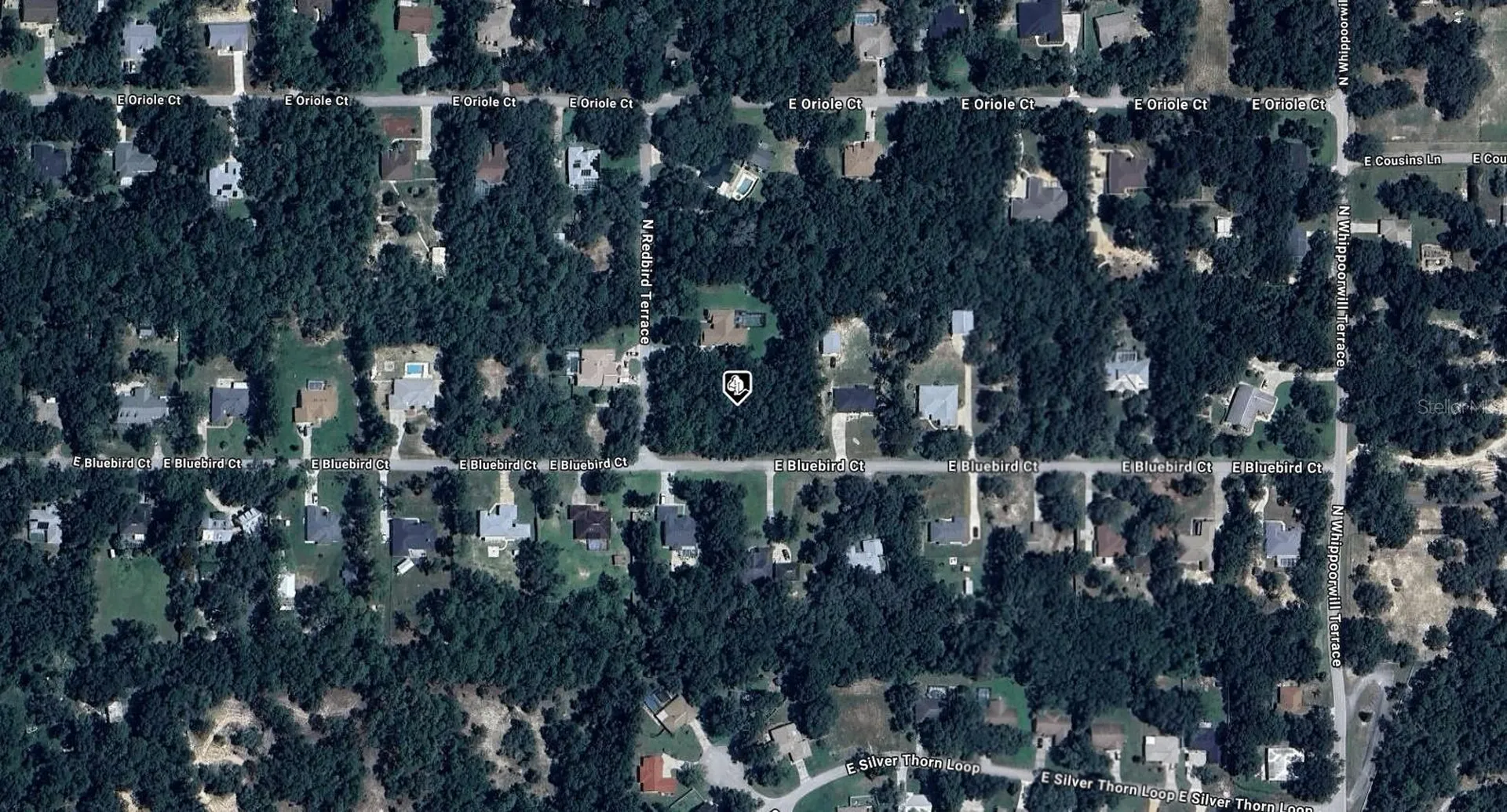 1255 E Bluebird Court Hernando FL 34442