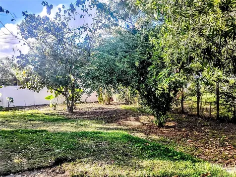 4515 Orangewood Loop E Lakeland FL 33813