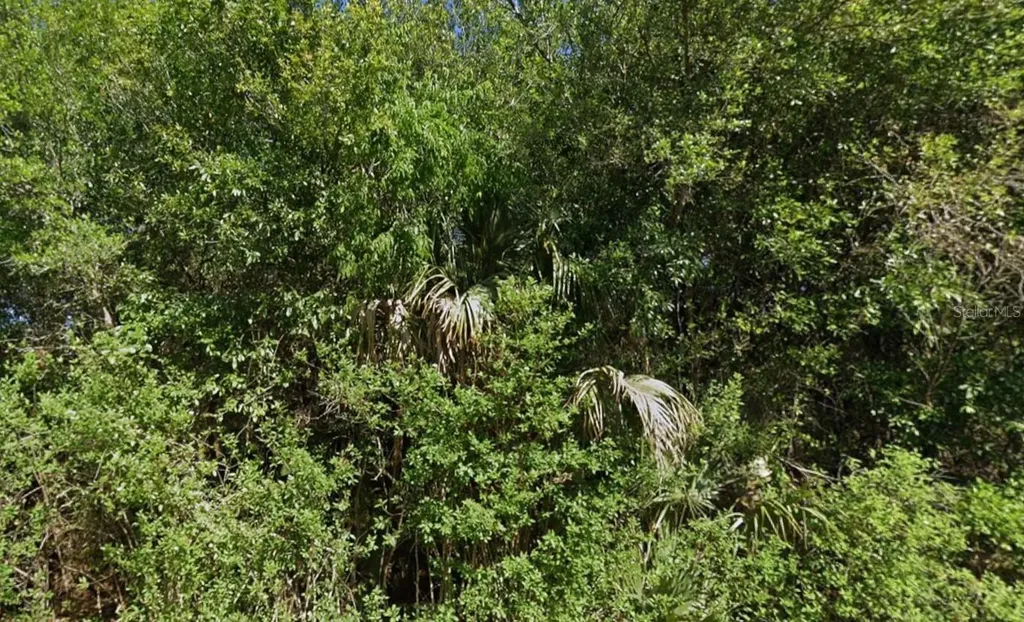 4702 Vera Avenue N Lehigh Acres FL 33971
