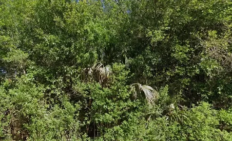 4702 Vera Avenue N Lehigh Acres FL 33971