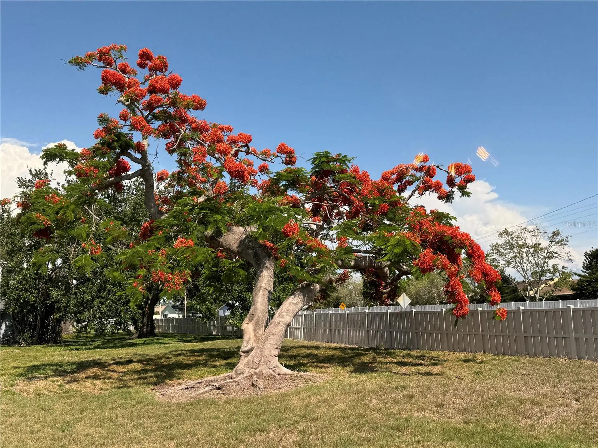 3813 42nd Street W Bradenton FL 34205