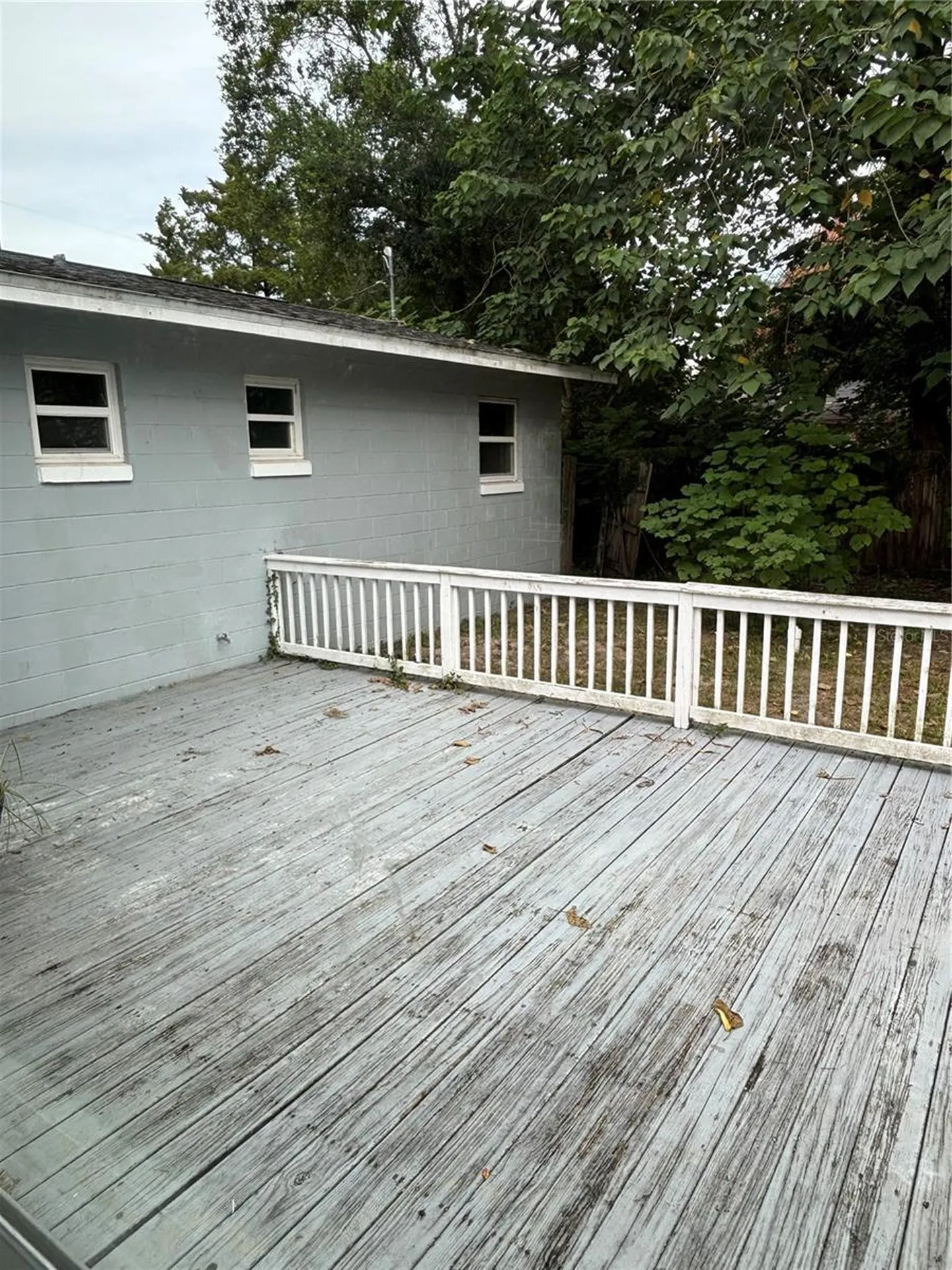 3217 NE 14th Avenue Ocala FL 34479