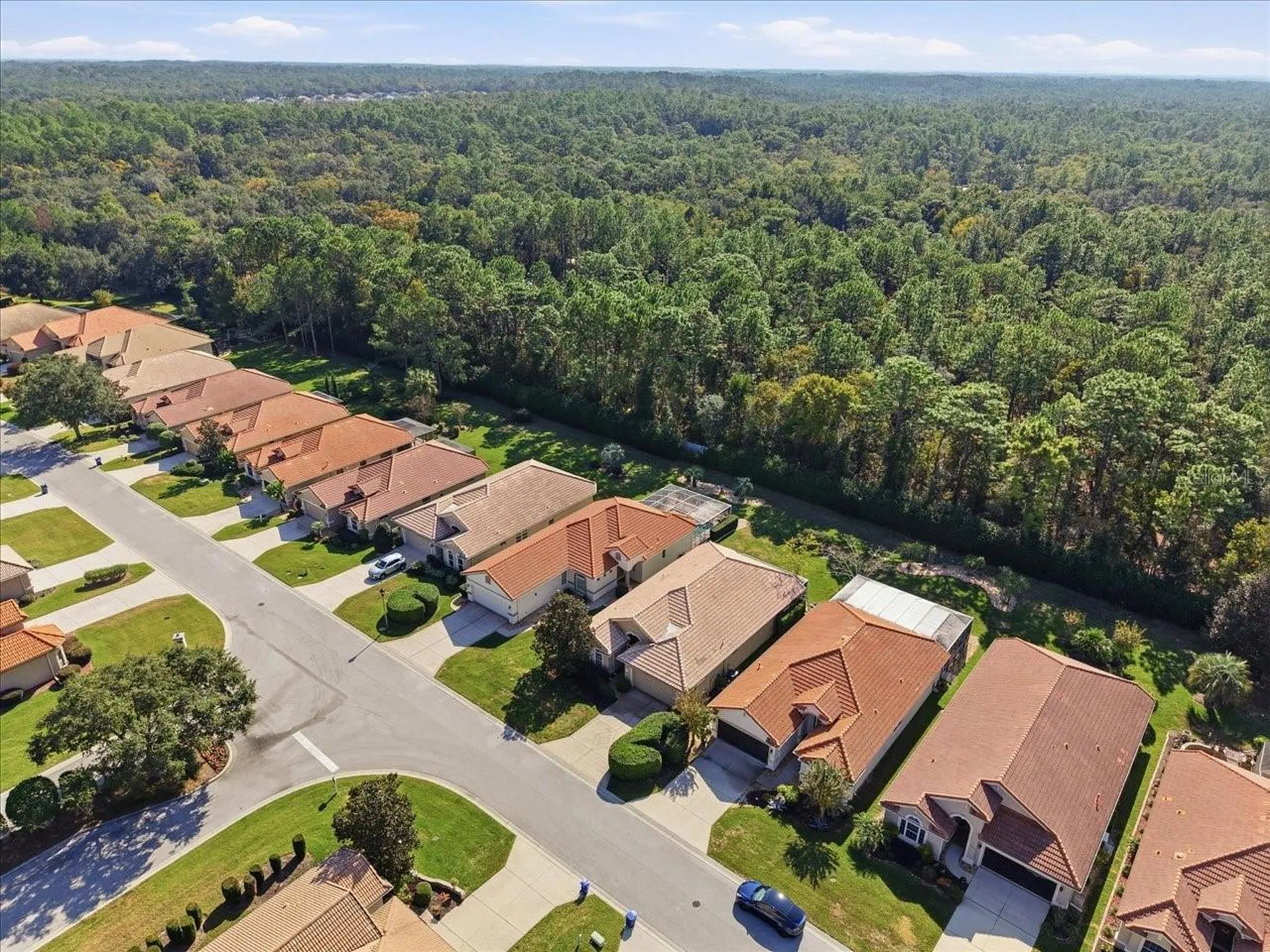 1650 W Laurel Glen Path Hernando FL 34442