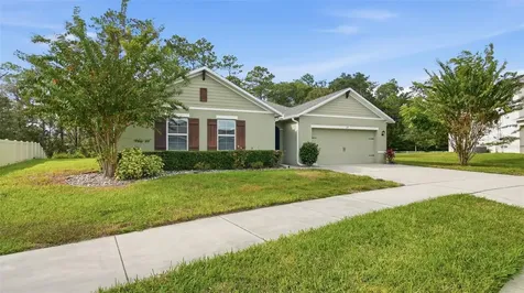 317 Nowell Loop Deland FL 32724
