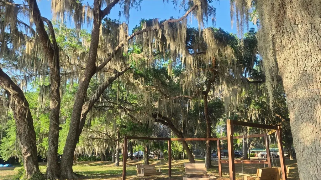 25205 NE 142nd Street Salt Springs FL 32134