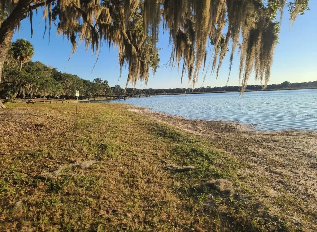 25205 NE 142nd Street Salt Springs FL 32134