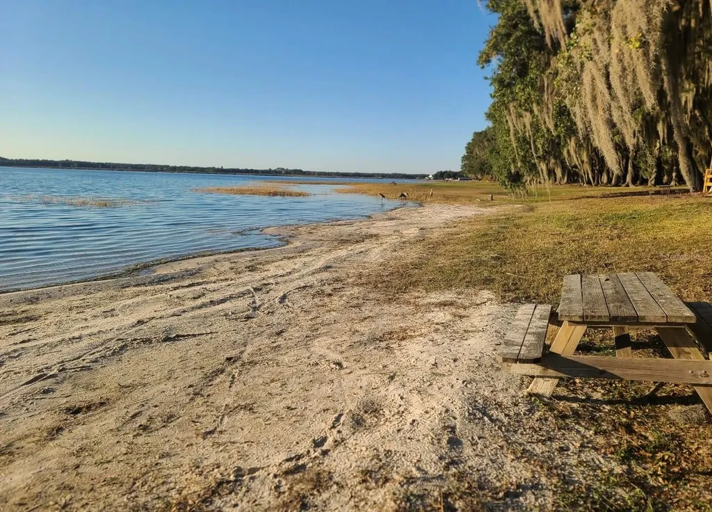 25205 NE 142nd Street Salt Springs FL 32134
