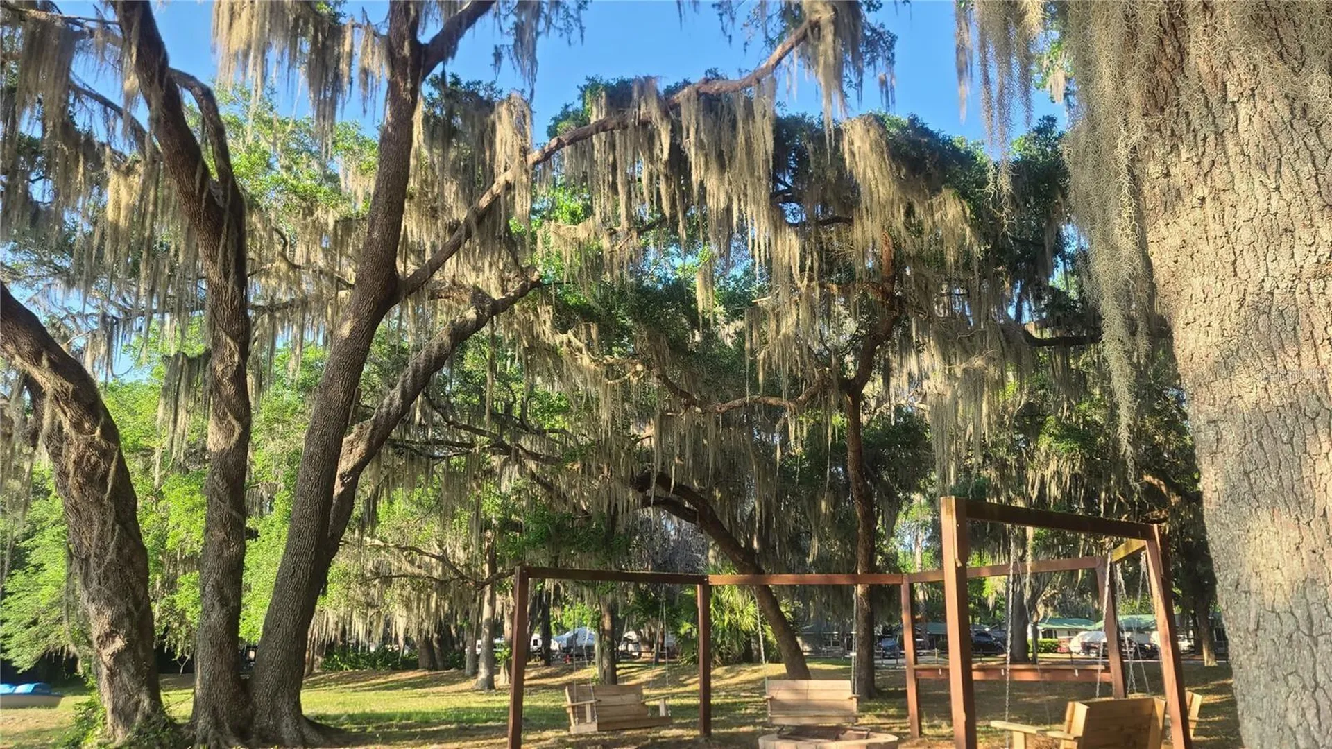 25205 NE 142nd Street Salt Springs FL 32134
