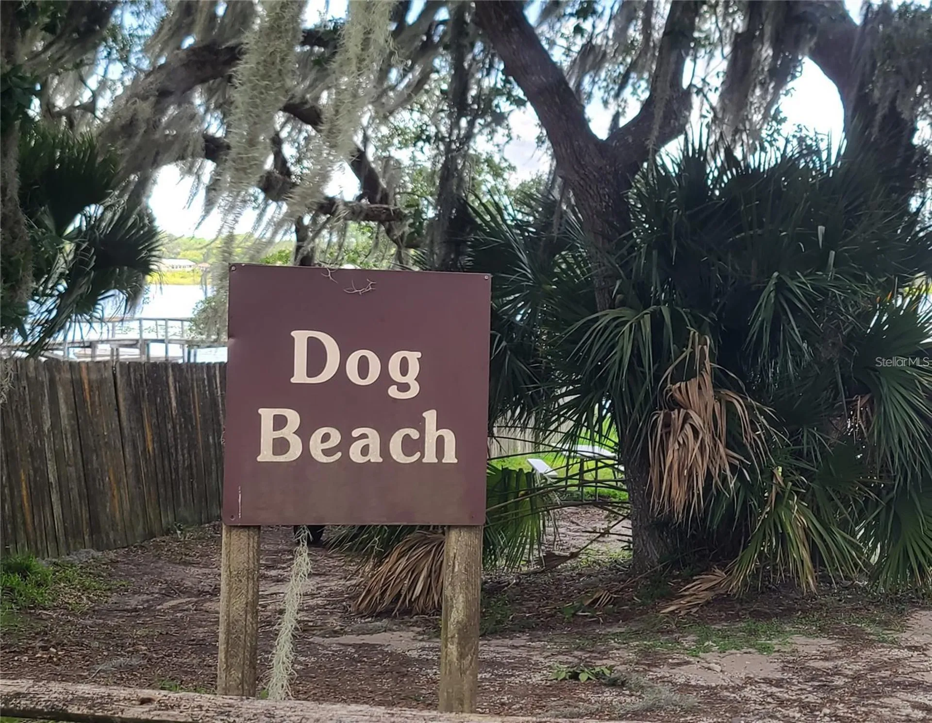 25205 NE 142nd Street Salt Springs FL 32134