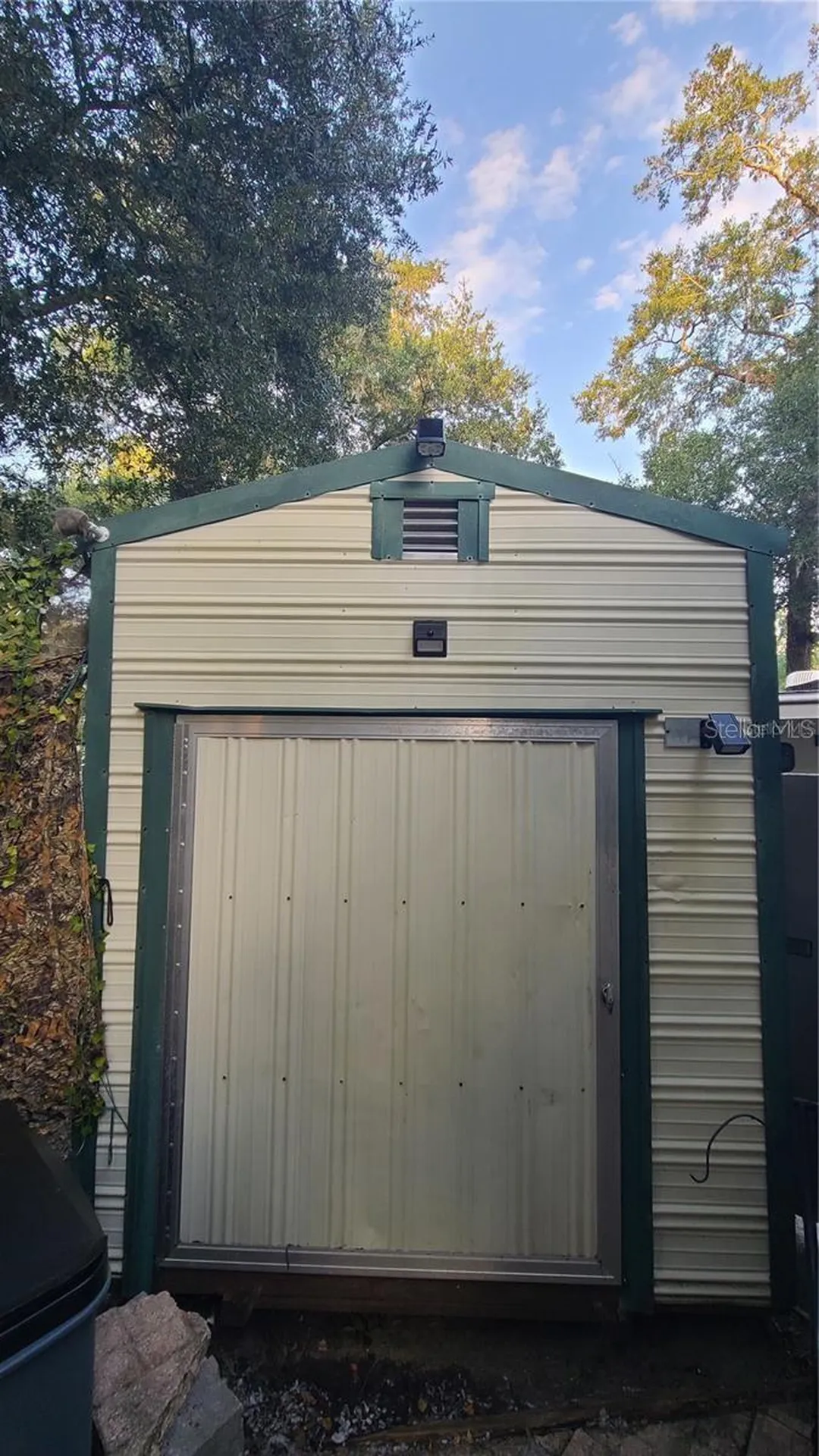 25205 NE 142nd Street Salt Springs FL 32134