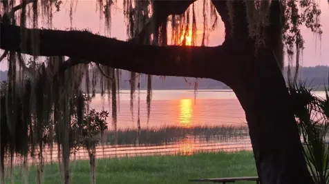 25205 NE 142nd Street Salt Springs FL 32134