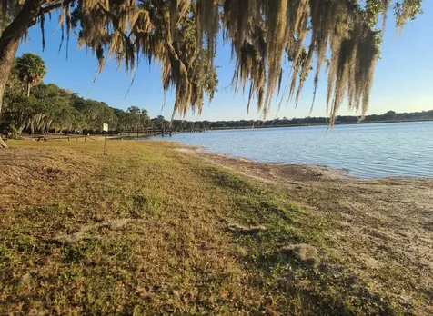 25205 NE 142nd Street Salt Springs FL 32134