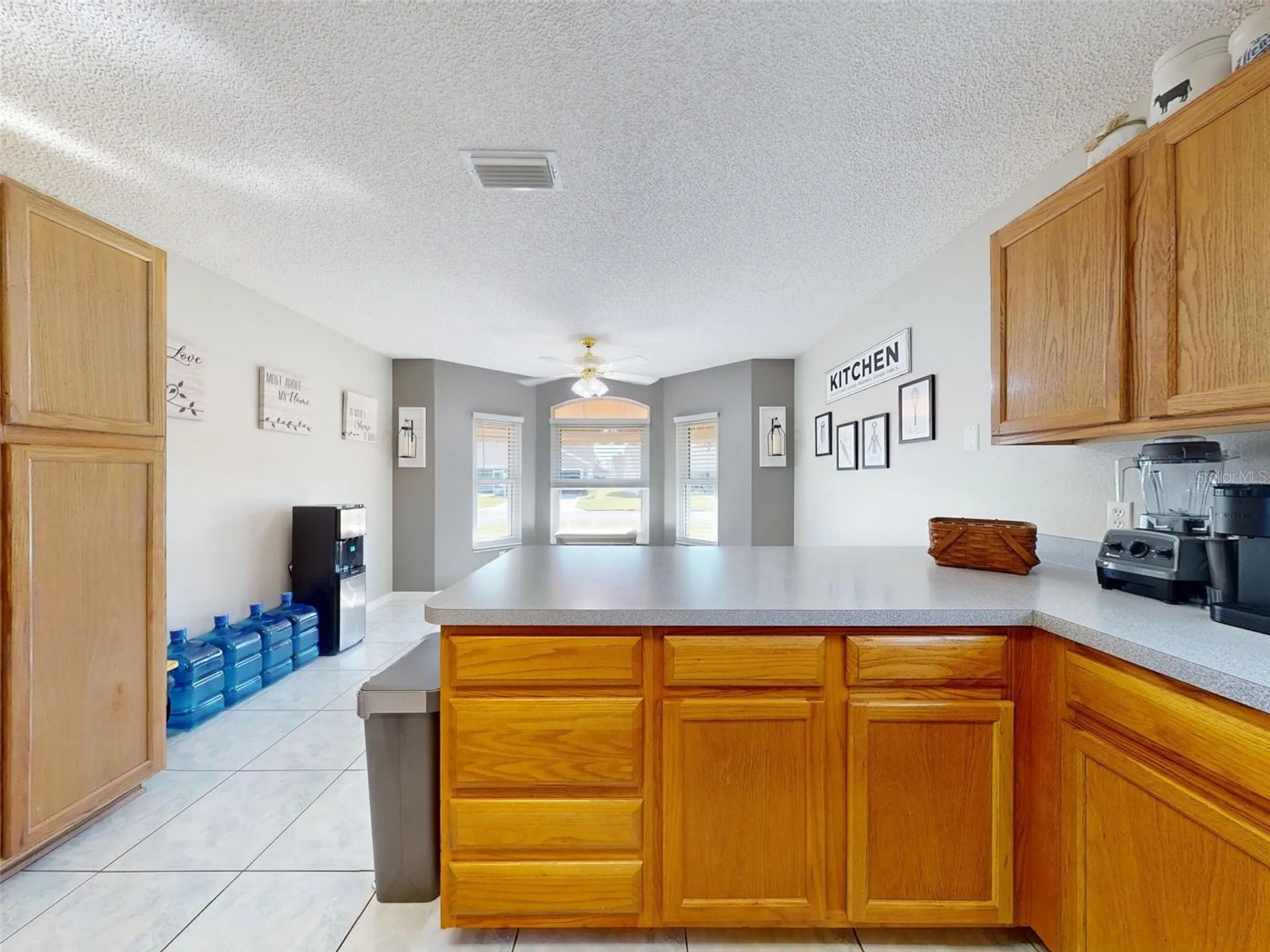 714 Del Rosario Street The Villages FL 32159