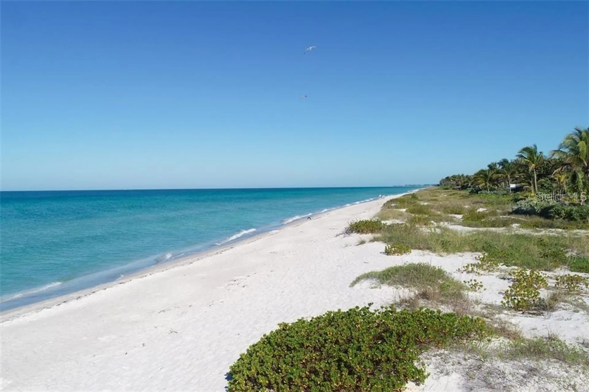 540 Neptune Avenue Longboat Key FL 34228