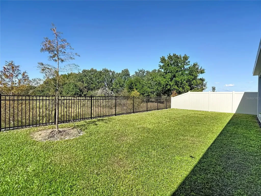 10471 Bridgegate Heights Loop San Antonio FL 33576
