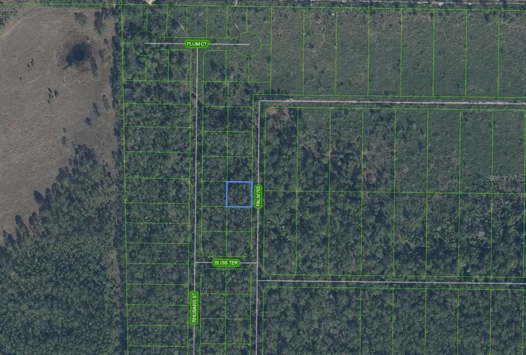 4817 Palm Road Sebring FL 33875