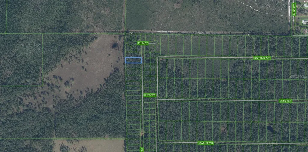 4705 Rhubarb Street Sebring FL 33875