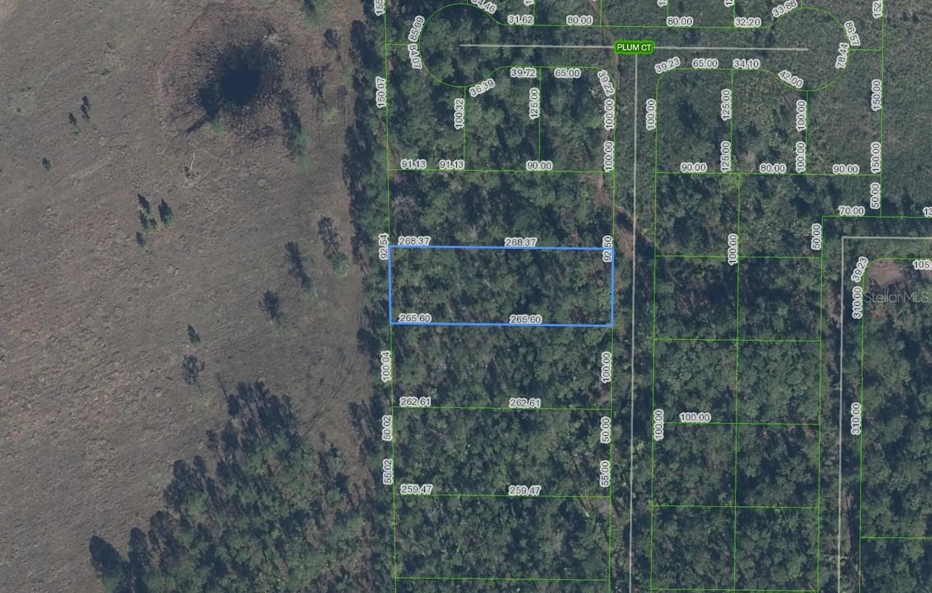 4705 Rhubarb Street Sebring FL 33875