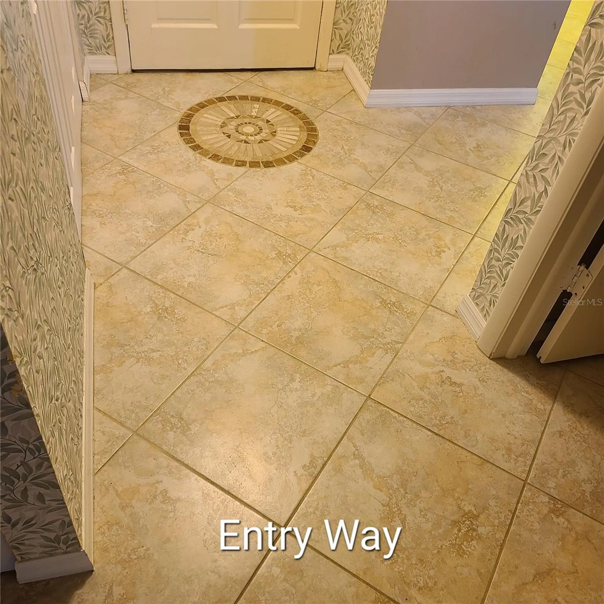 220 Buttonwood Circle Seminole FL 33777