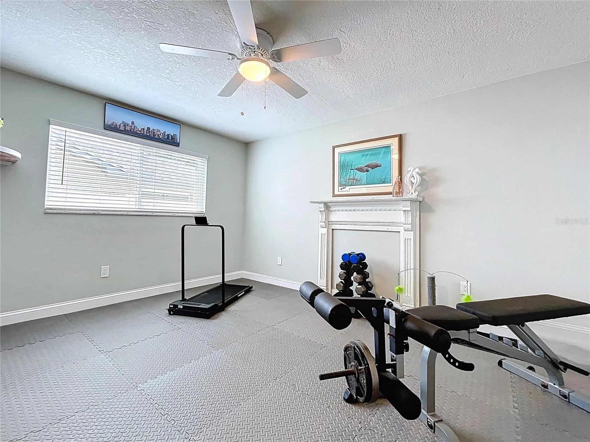 386 Westwinds Drive Palm Harbor FL 34683