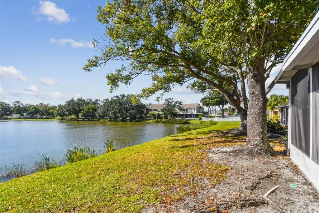 6916 Lake Place Court Tampa FL 33634