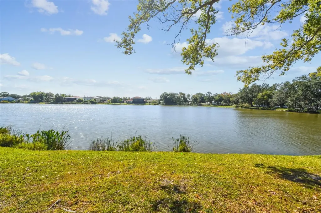 6916 Lake Place Court Tampa FL 33634