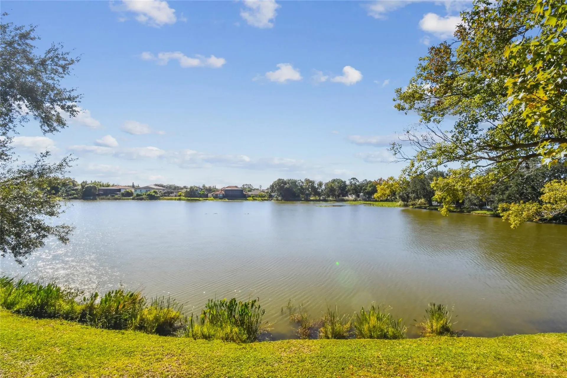 6916 Lake Place Court Tampa FL 33634