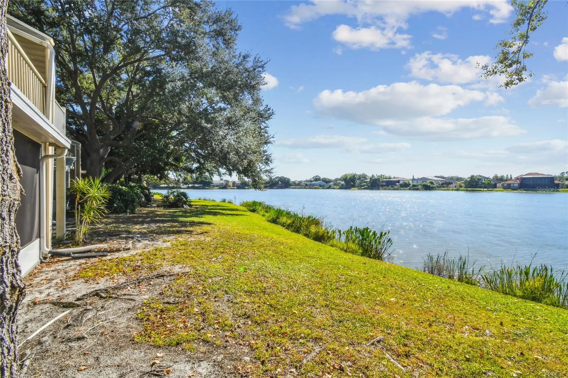 6916 Lake Place Court Tampa FL 33634