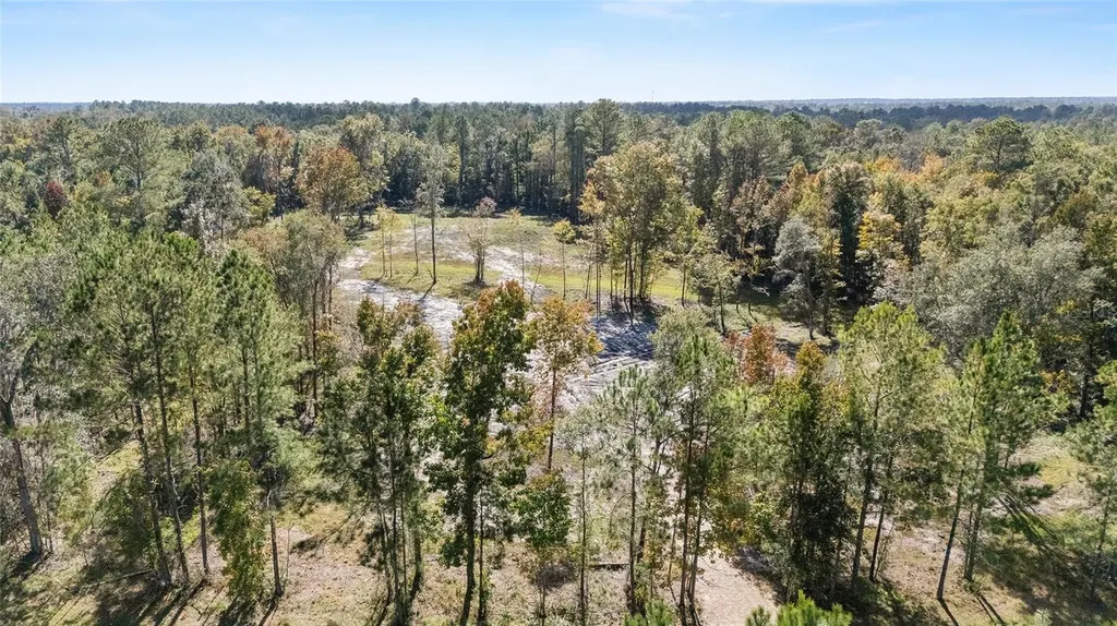 Tbd NW 145 Street Williston FL 32696