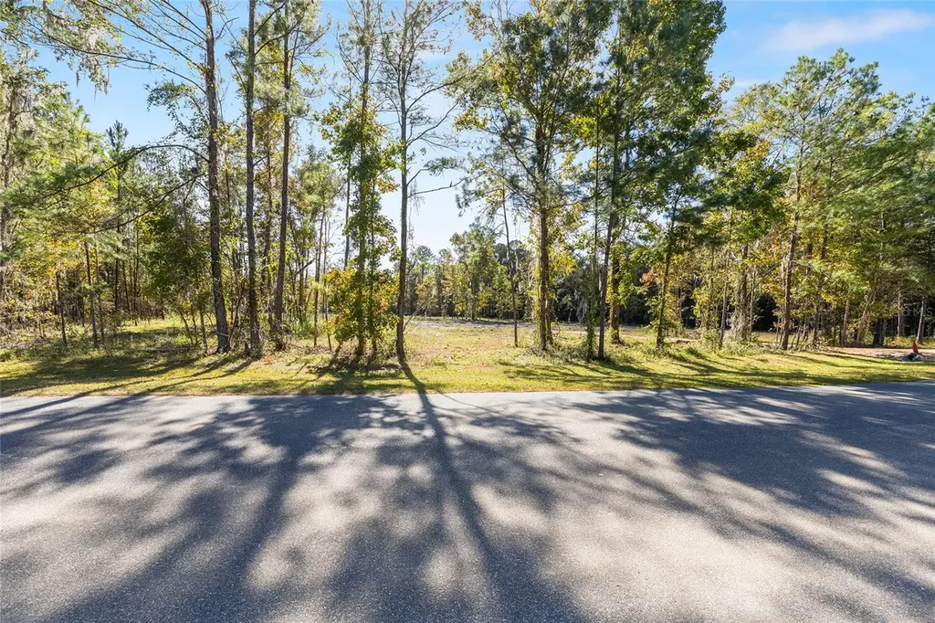 Tbd NW 145 Street Williston FL 32696