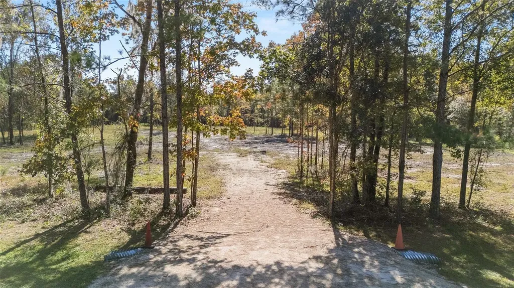 Tbd NW 145 Street Williston FL 32696