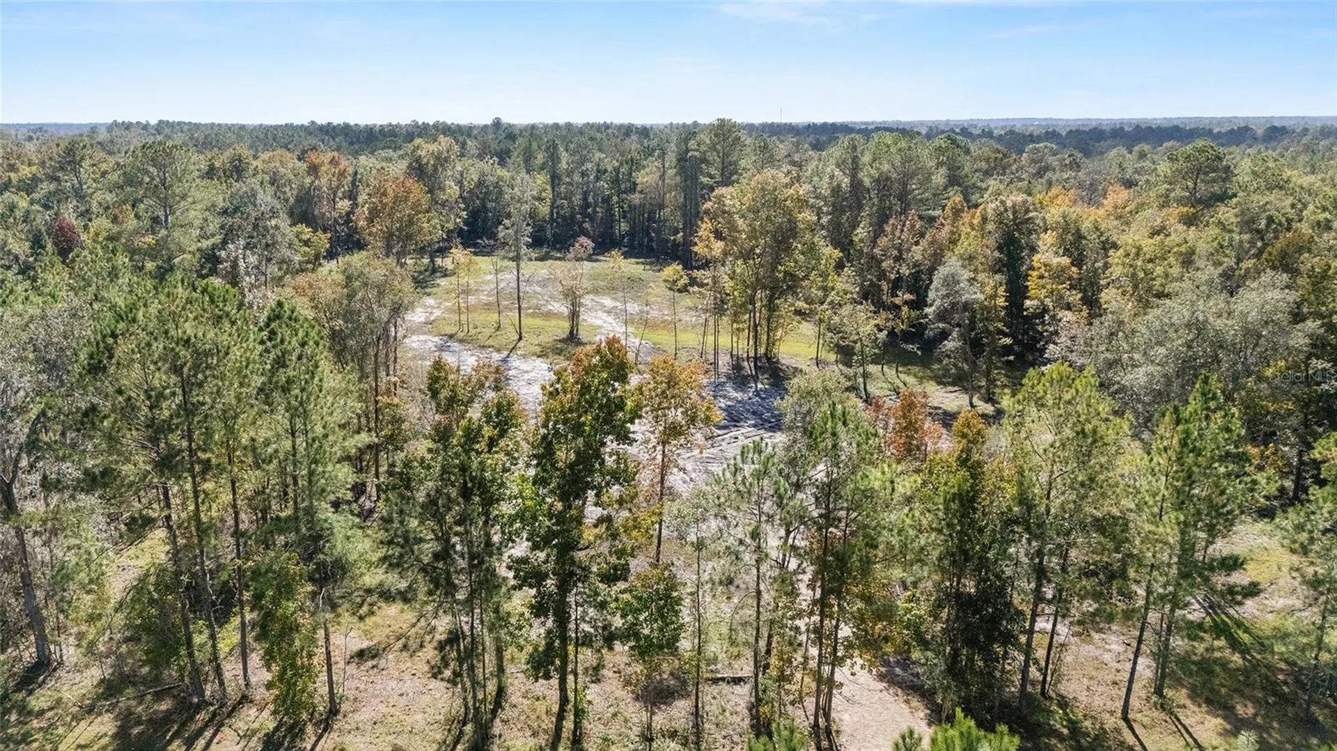 Tbd NW 145 Street Williston FL 32696