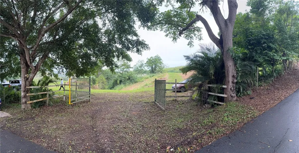 Route 159 Corozal PR 00783