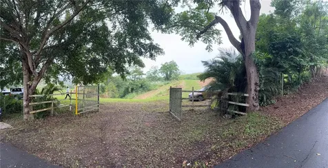 Route 159 Corozal PR 00783