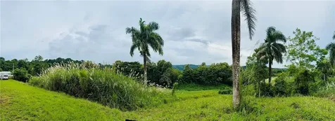 Route 159 Corozal PR 00783