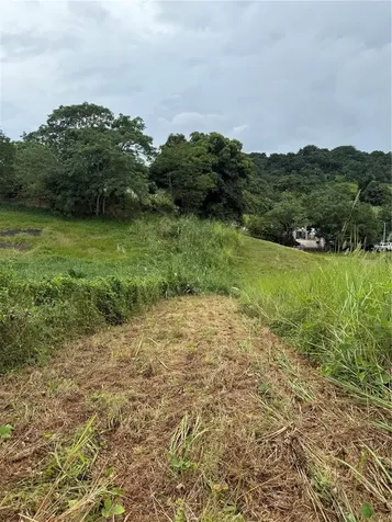 Route 159 Corozal PR 00783