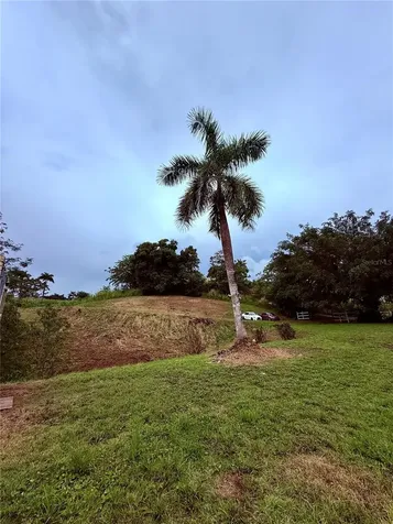 Route 159 Corozal PR 00783