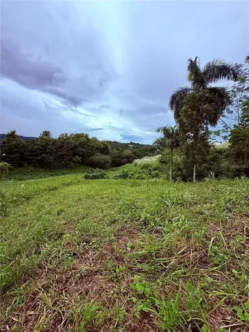 Route 159 Corozal PR 00783
