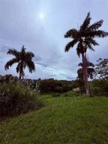 Route 159 Corozal PR 00783
