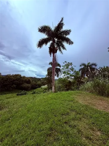 Route 159 Corozal PR 00783