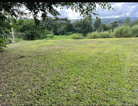 Route 159 Corozal PR 00783