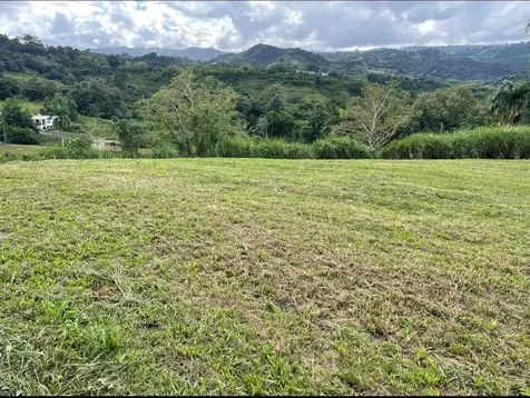 Route 159 Corozal PR 00783