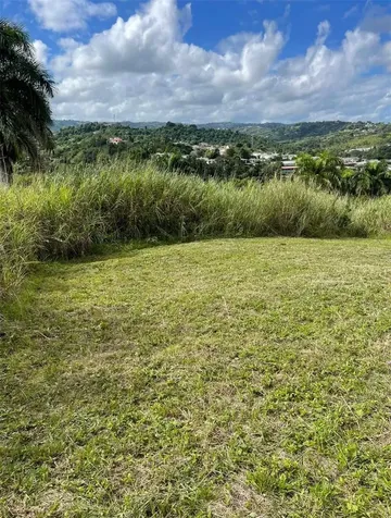 Route 159 Corozal PR 00783