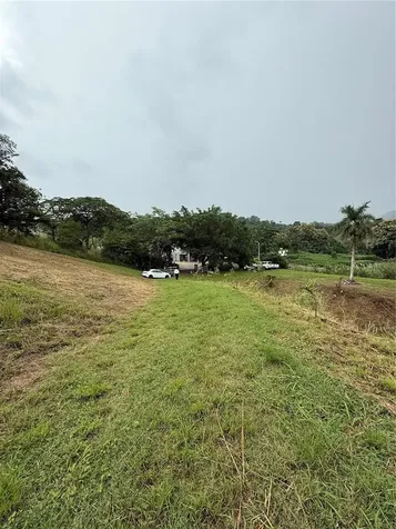 Route 159 Corozal PR 00783