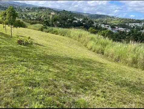 Route 159 Corozal PR 00783