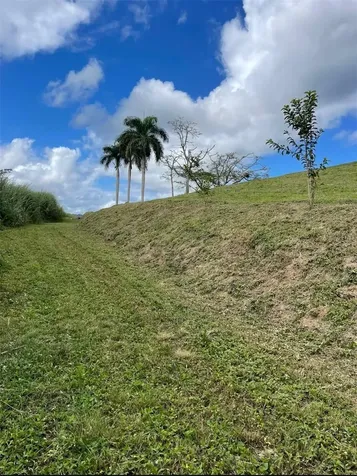 Route 159 Corozal PR 00783