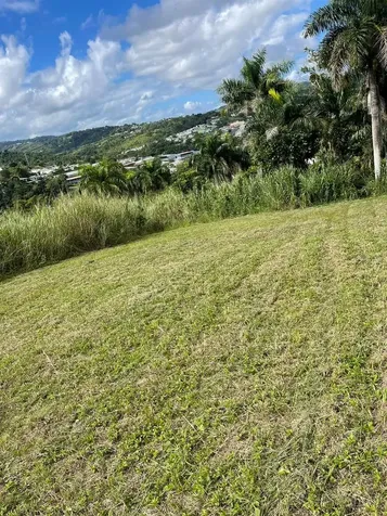 Route 159 Corozal PR 00783