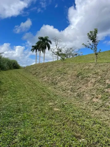 Route 159 Corozal PR 00783