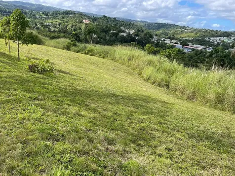 Route 159 Corozal PR 00783