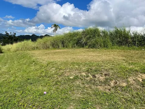 Route 159 Corozal PR 00783